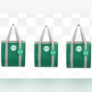 Whole Foods Market Insulated Reusable Cooler Green Grocery Shopping Bag …